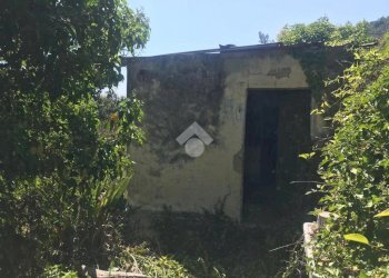 Rustico Via giovanni XXIII, Vallebona - foto 3
