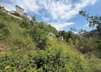 Rustico Via giovanni XXIII, Vallebona - foto 4