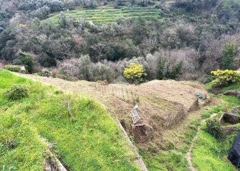 Rustico Via giovanni XXIII, Vallebona - foto 5