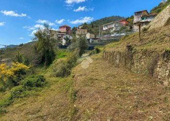 Rustico Via giovanni XXIII, Vallebona - foto 6