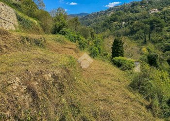 Rustico Via giovanni XXIII, Vallebona - foto 7