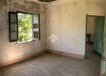 Rustico Via giovanni XXIII, Vallebona - foto 8