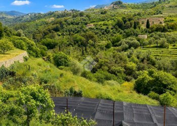 Rustico Via giovanni XXIII, Vallebona - foto 10