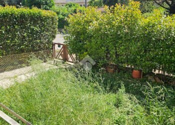 Villa a Schiera Via ciro menotti, Montecchio Emilia - foto 14