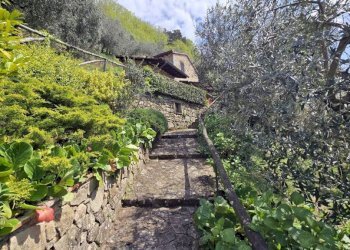 Rustico Bagni di Lucca - foto 6