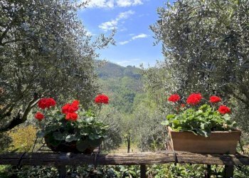 Rustico Bagni di Lucca - foto 38