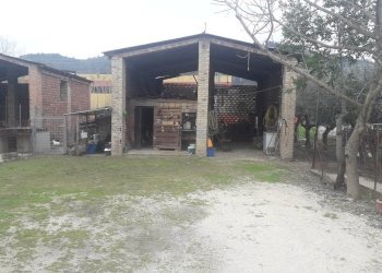 Foto 1 - Agricultural land Via San Cassiano, Alanno - photo 1
