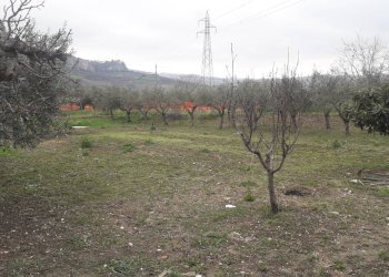 Foto 4 - Agricultural land Via San Cassiano, Alanno - photo 4