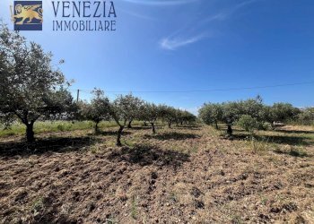 Foto 16 - Rustic Contrada Gaddimi, Sciacca - photo 16