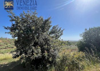 Foto 18 - Rustic Contrada Gaddimi, Sciacca - photo 18
