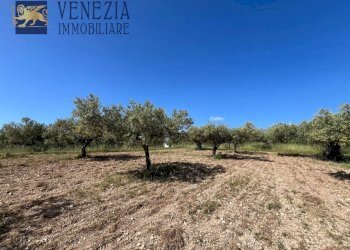 Foto 19 - Rustic Contrada Gaddimi, Sciacca - photo 19