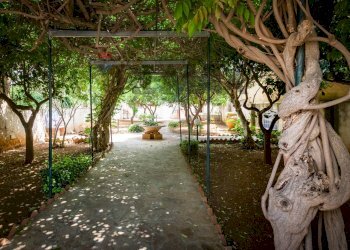 Giardino - Casa indipendente Via Calazza
 
18, San Vito Lo Capo - foto 15