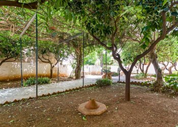 Giardino - Casa indipendente Via Calazza
 
18, San Vito Lo Capo - foto 20