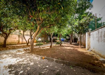 Giardino - Casa indipendente Via Calazza
 
18, San Vito Lo Capo - foto 23