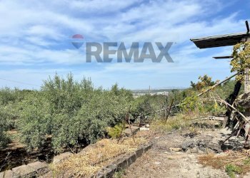 Giardino - Terreno agricolo via san luigi, Camporotondo Etneo - foto 3