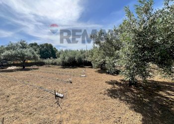Giardino - Terreno agricolo via san luigi, Camporotondo Etneo - foto 8