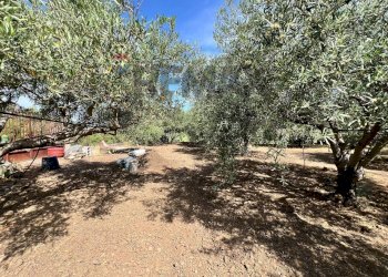 Giardino - Terreno agricolo via san luigi, Camporotondo Etneo - foto 11
