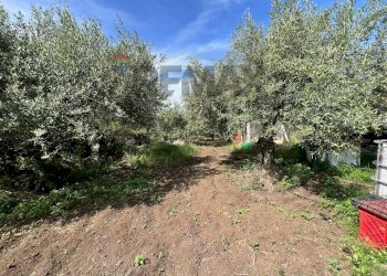 Giardino - Terreno agricolo via san luigi, Camporotondo Etneo - foto 12