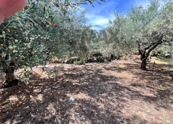 Giardino - Terreno agricolo via san luigi, Camporotondo Etneo - foto 14