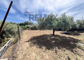 Giardino - Terreno agricolo via san luigi, Camporotondo Etneo - foto 16