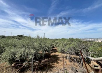 Vista delle montagne - Terreno agricolo via san luigi, Camporotondo Etneo - foto 17