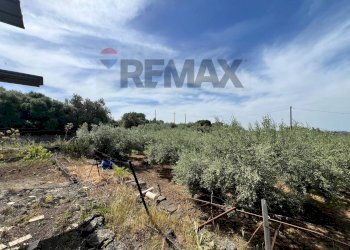 Non correlato - Terreno agricolo via san luigi, Camporotondo Etneo - foto 20