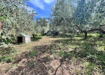 Giardino - Terreno agricolo via san luigi, Camporotondo Etneo - foto 21