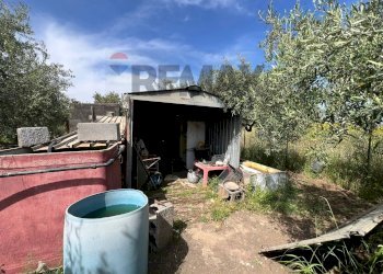 Giardino - Terreno agricolo via san luigi, Camporotondo Etneo - foto 22