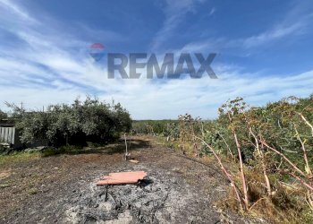Giardino - Terreno agricolo via san luigi, Camporotondo Etneo - foto 23