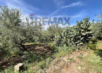 Giardino - Terreno agricolo via san luigi, Camporotondo Etneo - foto 24