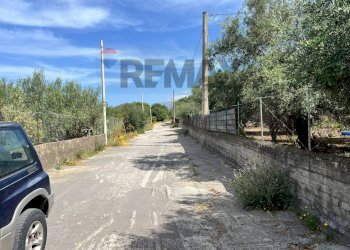 Non correlato - Terreno agricolo via san luigi, Camporotondo Etneo - foto 25
