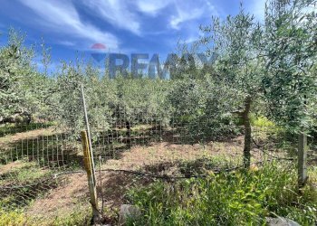 Giardino - Terreno agricolo via san luigi, Camporotondo Etneo - foto 27