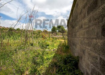 Giardino - Terreno agricolo Via Santa Margherita
snc, Mascalucia - foto 11