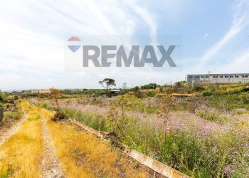 Giardino - Terreno agricolo Via Santa Margherita
snc, Mascalucia - foto 31