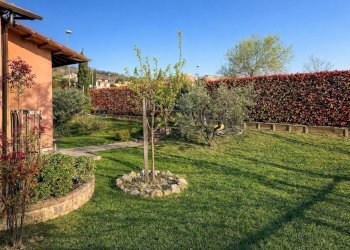 Giardino - Villa Via pio iii
 
8, Sarteano - foto 6