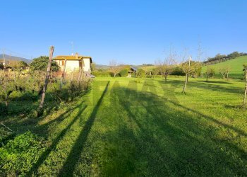 Giardino - Villa VIA PICCARATICO
 
110, Vinci - photo 5