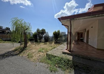 Giardino - Villa VIALE MONSIGNOR DOMENICO PETRONI
 
53, Cervicati - foto 106