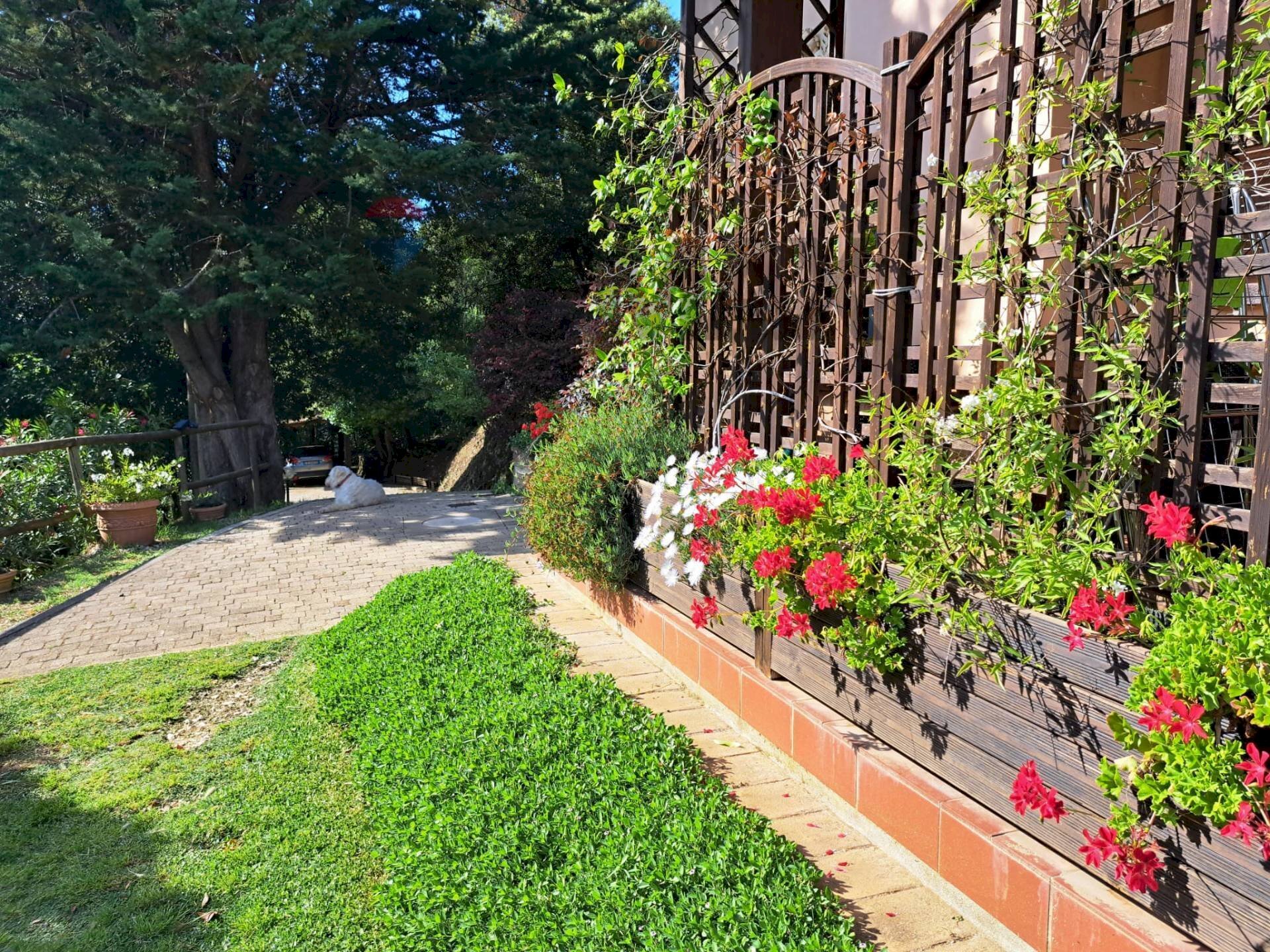 Giardino - Rustic Castagneto Carducci - photo 2