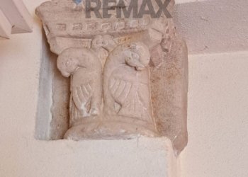 Dettagli - Rustic Castagneto Carducci - photo 38