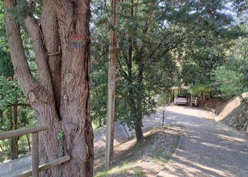 Giardino - Rustic Castagneto Carducci - photo 41