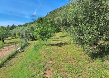 Vista delle montagne - Rustic Castagneto Carducci - photo 43