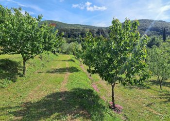 Vista delle montagne - Rustic Castagneto Carducci - photo 44