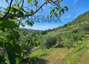 Vista delle montagne - Rustic Castagneto Carducci - photo 48