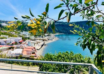 Vista dell\'acqua - Apartment Forio - photo 30