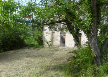 Giardino - Independent house c/da Sterparo, Vacri - photo 3
