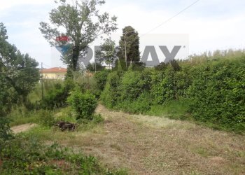 Giardino - Independent house c/da Sterparo, Vacri - photo 20