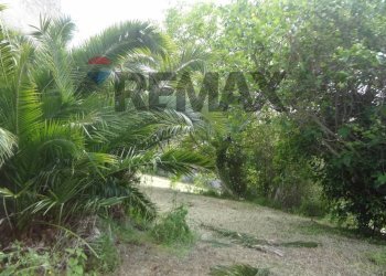 Giardino - Independent house c/da Sterparo, Vacri - photo 22