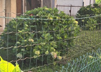 Giardino - Independent house Villa
 
20, Lamon - photo 23