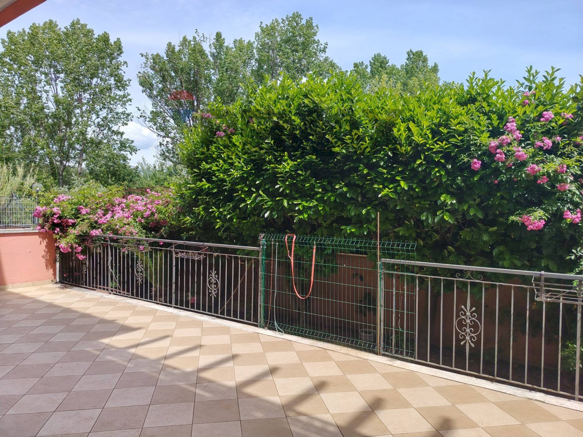 Terrazza - Bilocale Cassino - foto 1