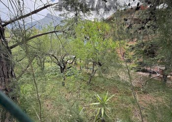 Giardino - Villa CONTRADA CACULLA
 
32, Monreale - foto 15